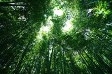 6cedd5b0128c2e16ce11d8b017ad1d32